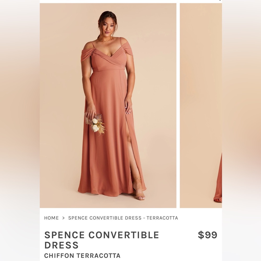 Birdy grey chiffon terracotta Spence dress